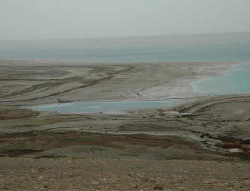 jor (14)