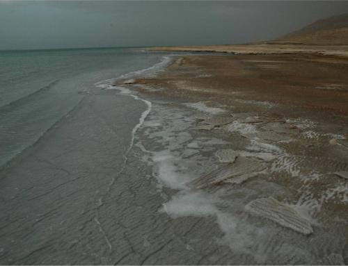jor (16)