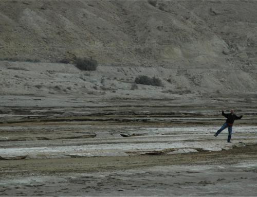 jor (18)