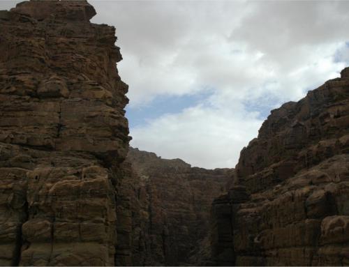 jor (26)