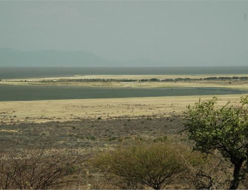 148 (1)