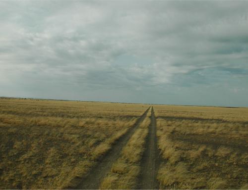 159 (1)