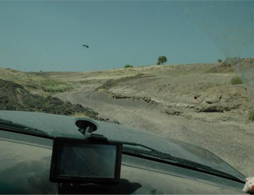 164 (1)