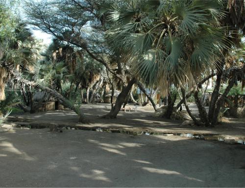 165 (1)